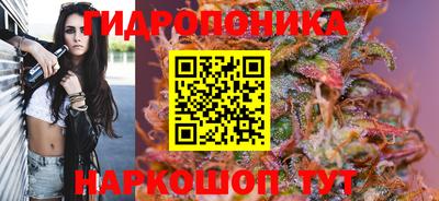 скорость Можга