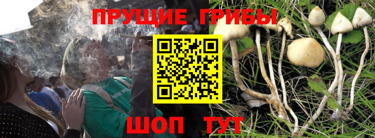 Галлюциногенные грибы MAGIC MUSHROOMS  Галлюциногенные грибы прущие грибы  Шали  даркнет сайт  Вход с VPN 